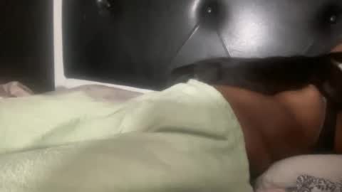 Snapshot of kinkykittee chatting on February 3, 2025, 5:40 am Bunniii online show from February 3, 2025, 5:40 am