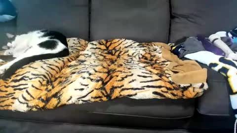 Snapshot of kinkykortney chatting on February 4, 2025, 6:17 pm Kinky online show from February 4, 2025, 6:17 pm