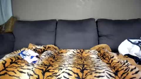 Snapshot of kinkykortney chatting on February 11, 2025, 12:16 pm Kinky online show from February 11, 2025, 12:16 pm