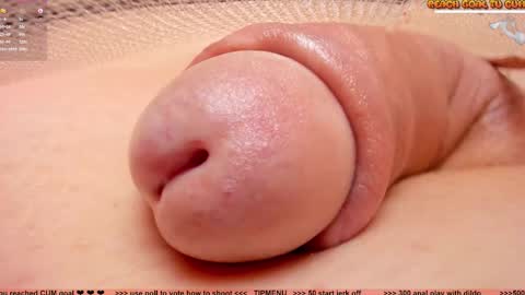 Petra online show from November 3, 2025, 7:15 pm