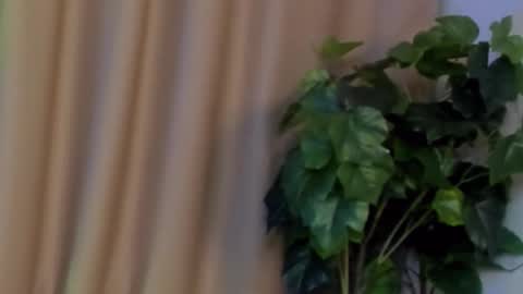 Snapshot of kristinedean chatting on December 7, 2024, 9:50 am Kristi online show from December 7, 2024, 9:50 am