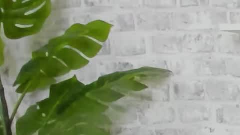 Snapshot of kristinedean chatting on December 15, 2024, 9:45 am Kristi online show from December 15, 2024, 9:45 am