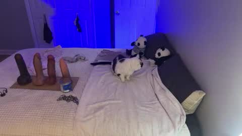 Snapshot of kristinsnowbunny chatting on September 17, 2025, 4:47 am Kristin Snow online show from September 17, 2025, 4:47 am