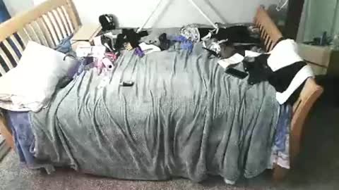 kulinky6969 online show from December 15, 2025, 11:58 am