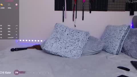 Snapshot of l1ly_paw chatting on January 20, 2025, 11:32 pm Lily Paw online show from January 20, 2025, 11:32 pm