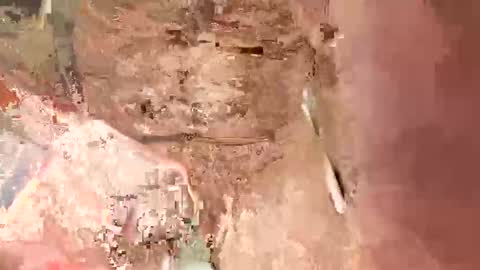 Snapshot of la7496659 chatting on January 17, 2025, 7:19 am la7496659 online show from January 17, 2025, 7:19 am