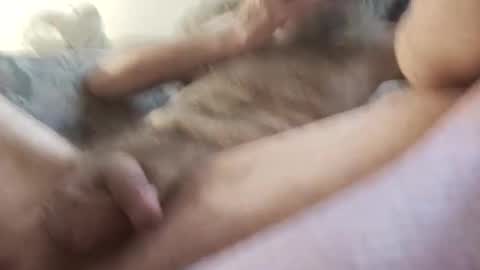 Snapshot of la7496659 chatting on November 15, 2025, 5:42 pm la7496659 online show from November 15, 2025, 5:42 pm