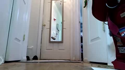 Snapshot of lacybell chatting on January 8, 2025, 2:14 am lacybell online show from January 8, 2025, 2:14 am