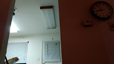 Snapshot of lacybell chatting on January 14, 2025, 2:50 am lacybell online show from January 14, 2025, 2:50 am