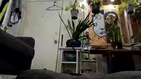 Snapshot of lacybell chatting on February 19, 2025, 7:28 am lacybell online show from February 19, 2025, 7:28 am