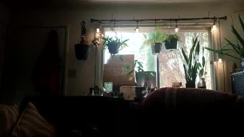 Snapshot of lacybell chatting on September 21, 2025, 10:11 pm lacybell online show from September 21, 2025, 10:11 pm