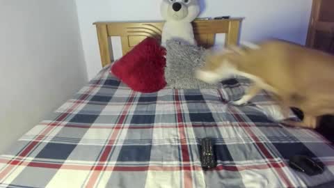 Akyra  online show from October 25, 2025, 1:07 pm