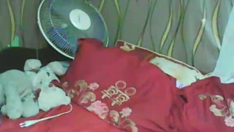 Snapshot of ladyxsnakes chatting on January 11, 2025, 3:31 pm LadyXSnakes online show from January 11, 2025, 3:31 pm