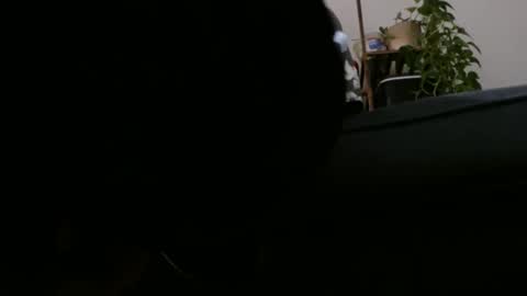 Snapshot of laidback_and_chill chatting on December 2, 2024, 6:41 am Rick online show from December 2, 2024, 6:41 am