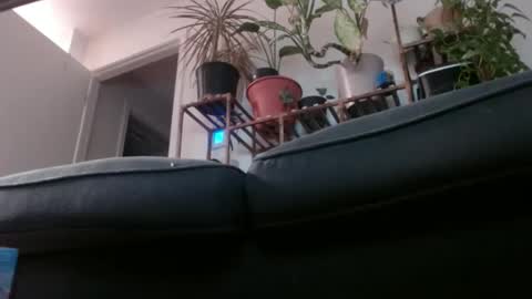 Snapshot of laidback_and_chill chatting on February 1, 2025, 3:08 am Rick online show from February 1, 2025, 3:08 am