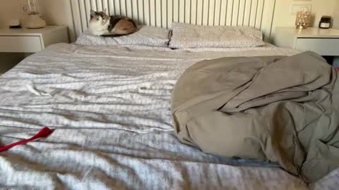 Snapshot of lana_inked chatting on February 5, 2025, 2:16 pm Lana online show from February 5, 2025, 2:16 pm