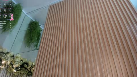 lana_lann online show from December 28, 2024, 3:37 pm