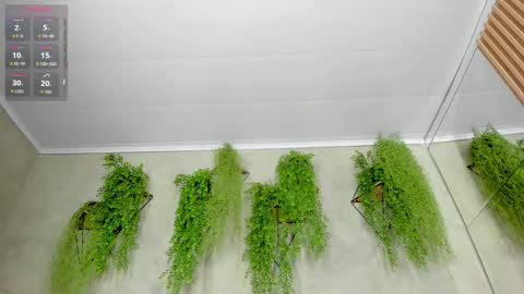 lana_lann online show from September 28, 2025, 11:48 am