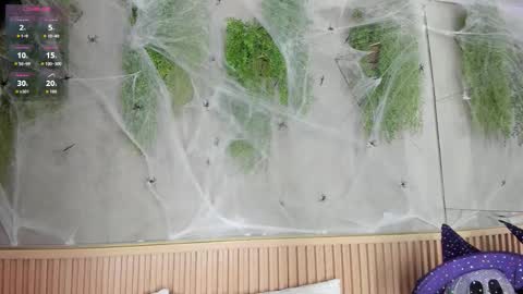 lana_lann online show from October 27, 2025, 11:47 am