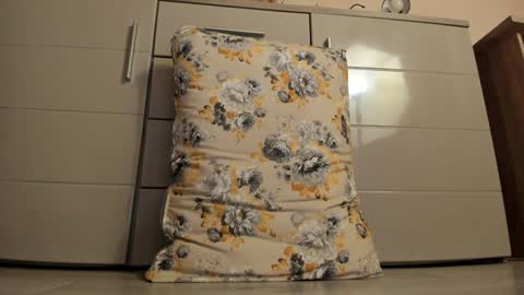 Snapshot of laracara chatting on December 18, 2024, 5:04 am Lara online show from December 18, 2024, 5:04 am