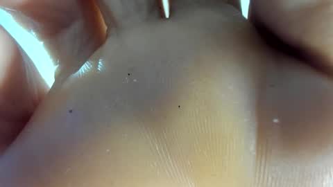 Snapshot of latin__curly chatting on November 7, 2025, 12:54 am Afrodita online show from November 7, 2025, 12:54 am