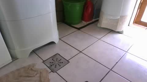 kelly online show from March 7, 2025, 6:22 pm