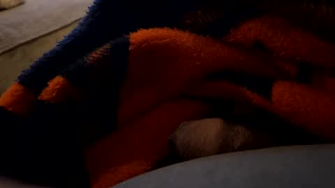 Snapshot of lc6173 chatting on December 27, 2024, 1:43 am lc6173 online show from December 27, 2024, 1:43 am