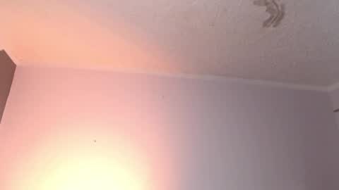 Snapshot of leabigboobs chatting on February 3, 2025, 3:49 pm leabigboobs online show from February 3, 2025, 3:49 pm