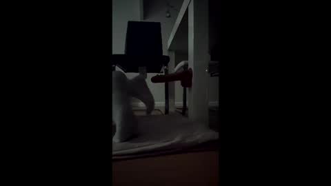 leehillery1 online show from December 17, 2025, 1:44 am