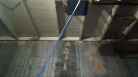 leo199984 online show from November 9, 2025, 5:17 am