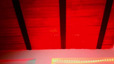 Lenardo jaramillo online show from December 12, 2024, 10:24 am