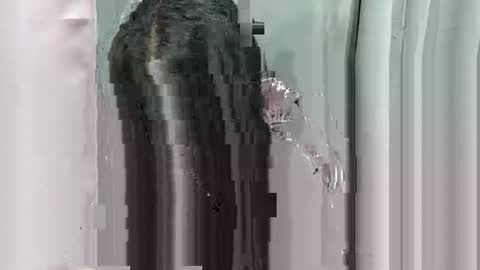 lhara_morena online show from December 18, 2025, 12:11 pm