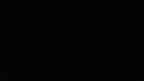 Snapshot of liam_borges chatting on February 9, 2025, 8:56 pm liam_borges online show from February 9, 2025, 8:56 pm