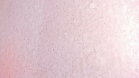 L I L A   online show from February 4, 2025, 6:38 pm