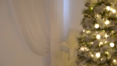 Rebecca online show from December 17, 2025, 6:03 pm