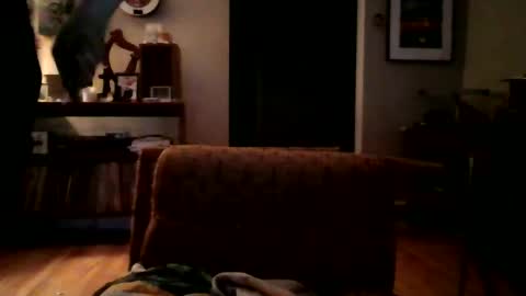 Snapshot of lildeer1980 chatting on January 8, 2025, 8:16 am lildeer1980 online show from January 8, 2025, 8:16 am