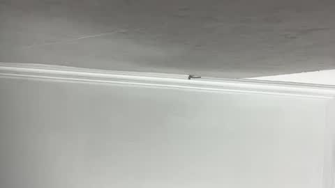 Snapshot of lilith_rose6 chatting on November 11, 2025, 3:23 pm Lilith online show from November 11, 2025, 3:23 pm