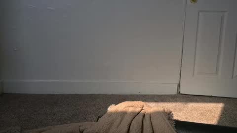 Snapshot of lilithoftrees chatting on March 4, 2025, 4:30 pm L online show from March 4, 2025, 4:30 pm