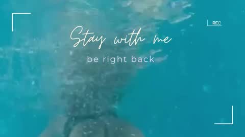 Lily online show from September 11, 2025, 6:24 am