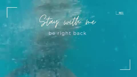 Lily online show from September 22, 2025, 5:42 am