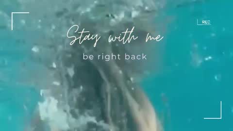 Lily online show from September 30, 2025, 7:02 am