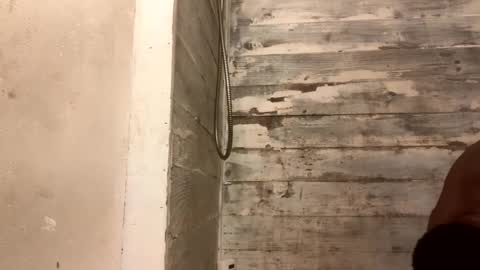 Richie Rich online show from December 7, 2024, 10:34 am