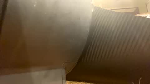 Richie Rich online show from December 18, 2024, 1:56 pm