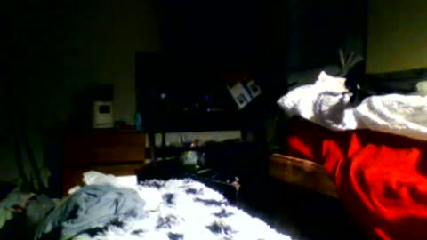 Richie Rich online show from December 30, 2024, 11:17 pm