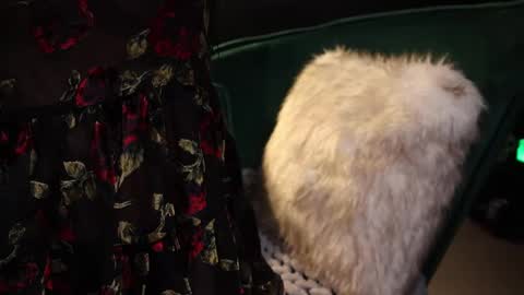 Snapshot of lireesa chatting on February 20, 2025, 4:18 am Lire online show from February 20, 2025, 4:18 am