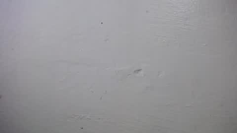 Snapshot of lisa_branch chatting on October 4, 2025, 10:24 am lisa_branch online show from October 4, 2025, 10:24 am