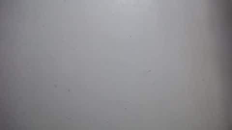 lisa_branch online show from December 14, 2025, 11:59 am