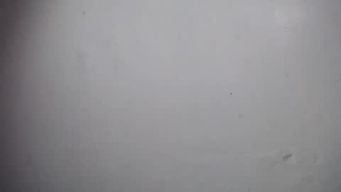 lisa_branch online show from December 19, 2025, 11:06 am