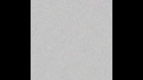 Adaline online show from November 23, 2025, 5:29 am