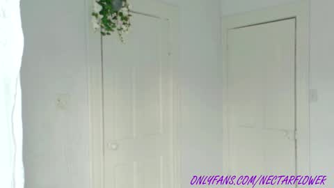 Snapshot of littlegreekflower chatting on February 9, 2025, 1:56 pm Audra A online show from February 9, 2025, 1:56 pm